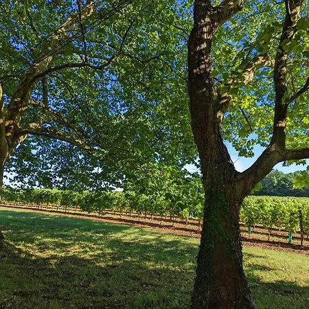 De Charme Pres De Cognac Avec Velos Et Jardin - Fr-1-653-205 Dom wakacyjny