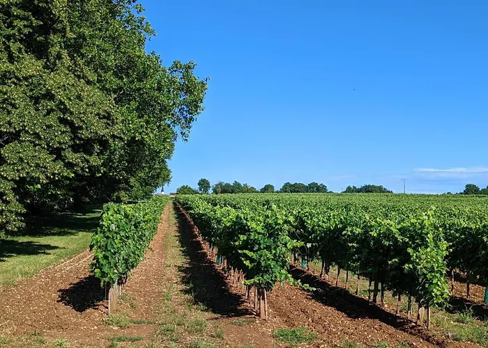 De Charme Pres De Cognac Avec Velos Et Jardin - Fr-1-653-205 *